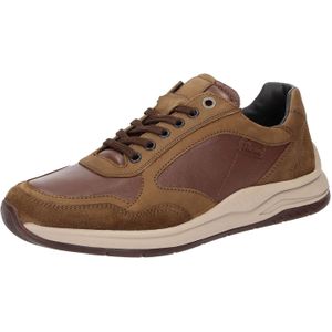 SIOUX Sneakers laag 'Turibio'  bruin / mokka