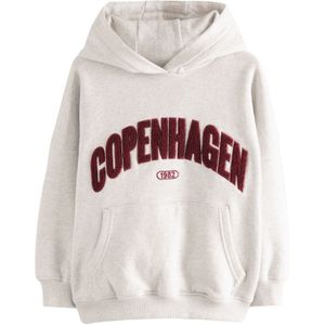 Next Sweatshirt  lichtgrijs / bordeaux
