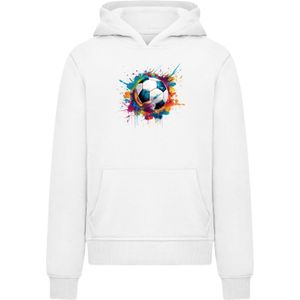 F4NT4STIC Sweatshirt 'Bunte Fußball'  gemengde kleuren / wit