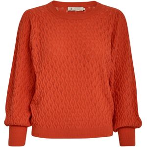 Peppercorn Trui 'Rosalia'  donkeroranje