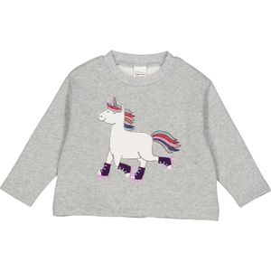 Fred's World by GREEN COTTON Sweatshirt  grijs gemêleerd / donkerlila / karmijnrood / wit