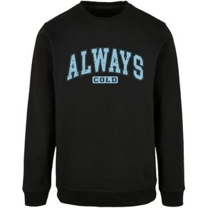 F4NT4STIC Sweatshirt  aqua / zwart