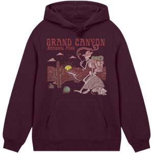 F4NT4STIC Sweatshirt 'US National Parks Grand Canyon Sunrise'  donkerbruin / geel / rood