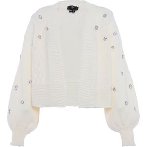 faina Gebreid vest  zilver / wolwit