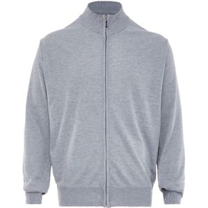 rovic Gebreid vest  lichtgrijs