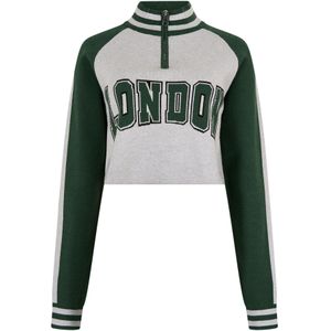 Apricot Sweatshirt  grijs / groen