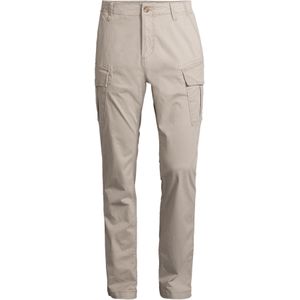 AÉROPOSTALE Cargobroek  taupe