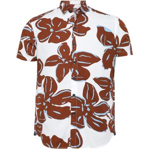 Campus Sutra Overhemd 'Waylon'  blauw / bruin / wit