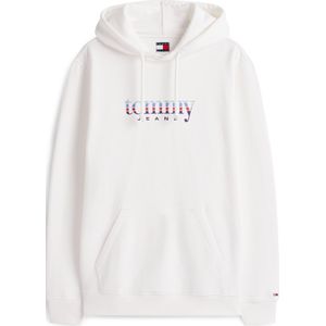 Tommy Jeans Sweatshirt  navy / mintgroen / rood / wit