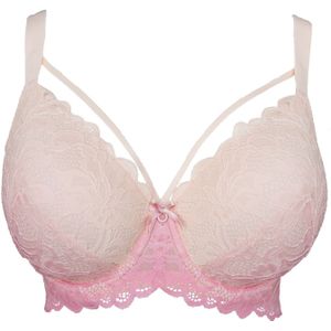 SugarShape - LUNA - BH