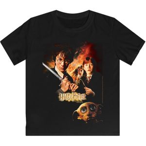 Shirt 'Harry Potter Kammer des Schreckens'