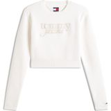 Tommy Jeans Trui  beige / navy / rood / wit