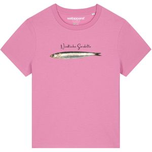 Watapparel Shirt  gemengde kleuren / rosa