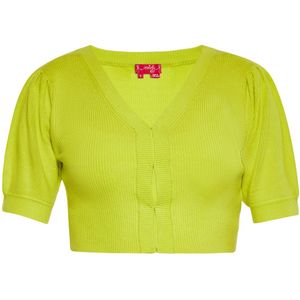 swirly Gebreid vest  appel