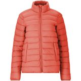 Whistler Tussenjas 'Arubi'  abrikoos