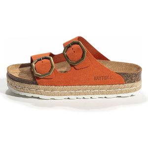 Bayton Muiltjes 'Alcee'  oranje