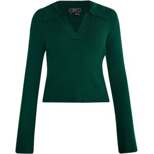 faina Trui 'Dulcey'  donkergroen