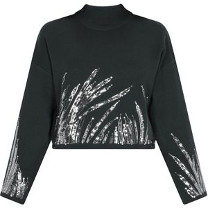 faina Trui  donkergroen / zilver