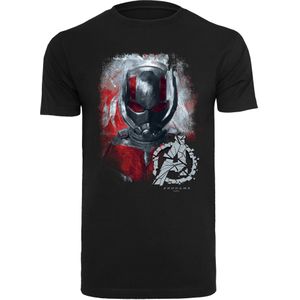 F4NT4STIC Shirt 'Marvel Avengers Endgame Ant-Man Brushed'  grijs / grafiet / bloedrood / zwart