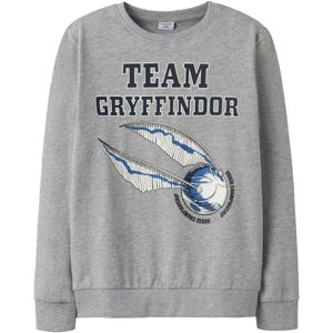 TWO SOON Sweatshirt 'Harry Potter'  grijs / gemengde kleuren