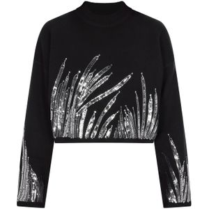 faina Trui  zwart / zilver