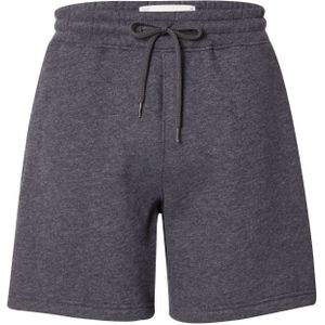 HOLLISTER Broek  antraciet