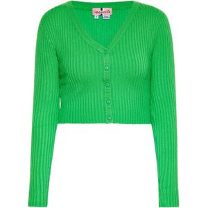 swirly Gebreid vest  limoen