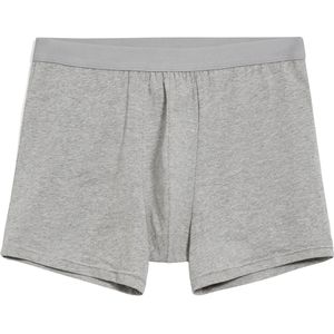 ARMEDANGELS Boxershorts 'Ricaard'  grijs