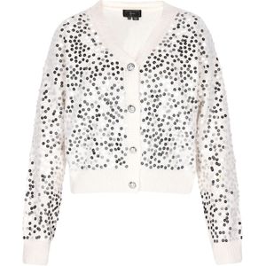 faina Gebreid vest  zilver / wit