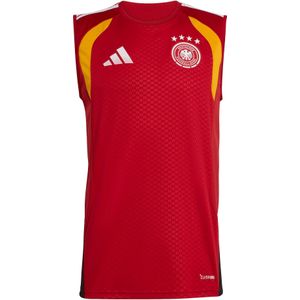 ADIDAS PERFORMANCE Tricot 'DFB TR SL JSY'  rood