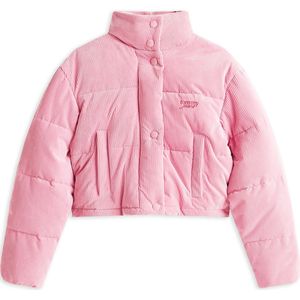 Tommy Jeans Tussenjas  magenta / oudroze