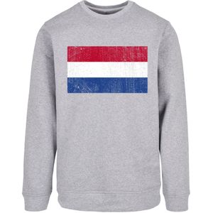 F4NT4STIC Sweatshirt  blauw / grijs / lichtrood