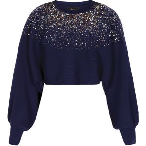 faina Trui  navy / brons / zilver