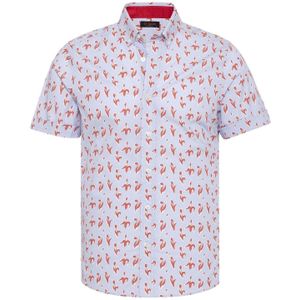 By Diess Collection Overhemd  lichtblauw / kastanjebruin / wit