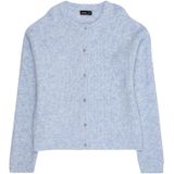 LMTD Gebreid vest 'NLFKLEAVE'  lichtblauw