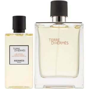 Hermes Terre d'Hermès Gift Set EDT 100 ml