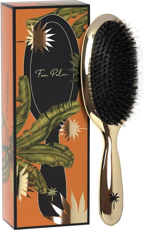 Fan Palm Brush Medium Hollywood
