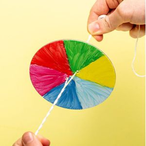 Newton's Lab Kleurenwiel (DIY kit)