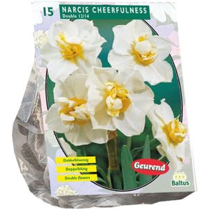 Baltus 'Narcis Cheerfulness' voorjaarsbloeiers - 15 bollen