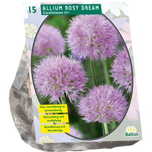 Baltus sierui 'Allium Rosy Dreams' voorjaarsbloeiers - Roze - 15 bloembollen