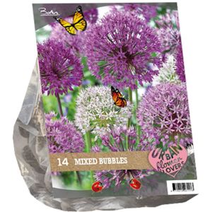 Baltus 'Urban Flowers - Mixed bubbles' voorjaarsbloeiers - Mix - 14 bollen