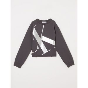 Calvin Klein Mercury sweater met metallic logoprint