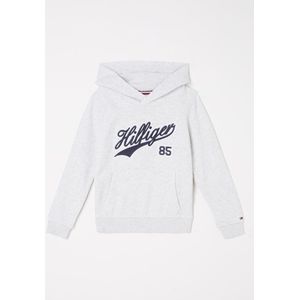 Tommy Hilfiger Hoodie met logoborduring