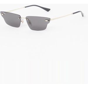Ray-Ban Anh zonnebril RB3731