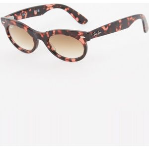 Ray-Ban Zonnebril RB2242