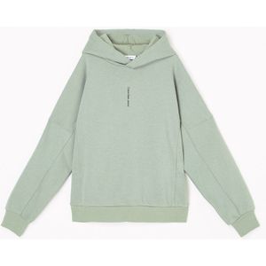 Calvin Klein Hoodie met logo