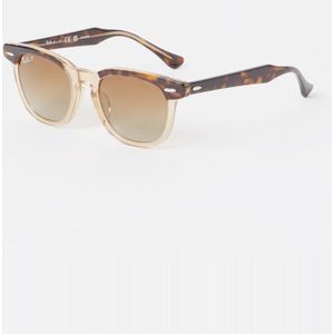 Ray-Ban Zonnebril gepolariseerd RJ9098S