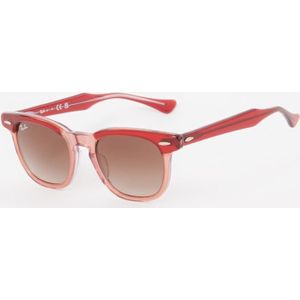 Ray-Ban Zonnebril RJ9098S