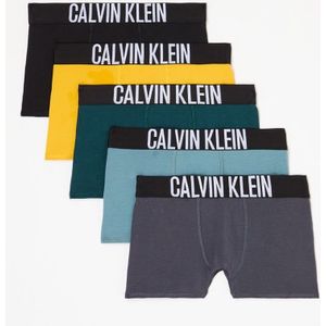 Calvin Klein Boxershorts met logoband in 5-pack