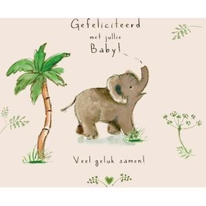 Gefeliciteerd Met Jullie Baby Wenskaart BCA61